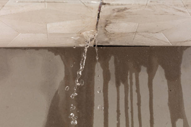 Professional Water Damage Inspection technician working in Oglesby, TX
